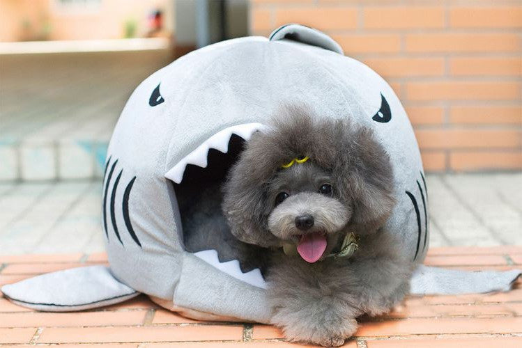 Shark hotsell dog bed