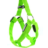 LED Nylon Dog Harness