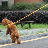 LED Nylon Dog Harness - Free Shipping