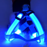 LED Nylon Dog Harness