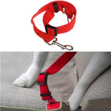 Safety Seatbelt - Free + Shipping