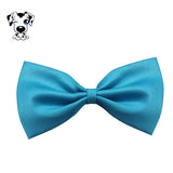 Well groomed Dog or Cat Bow Tie - Necktie