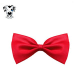 Well groomed Dog or Cat Bow Tie - Necktie