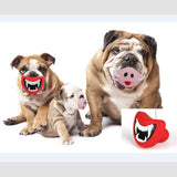 Squeaky Devil Lips and Pig Nose Toy for Dogs
