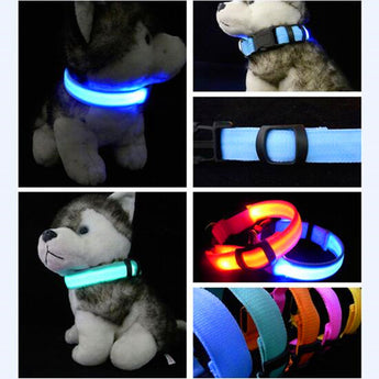 Dog LED Safety Glowing Collar