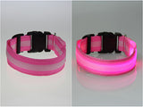 Dog and Cat LED Glow Light Collar - Night Safety - 8 Colors
