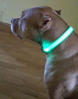 Dog and Cat LED Glow Light Collar - Night Safety - 8 Colors